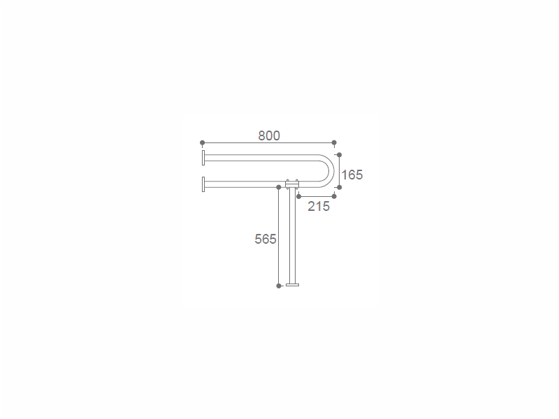 Safety Grab Rail Fort Toilet Disabled